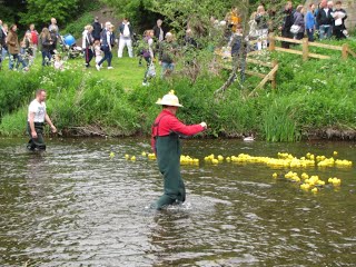Duck Race 2016: Duck officials wading in river.